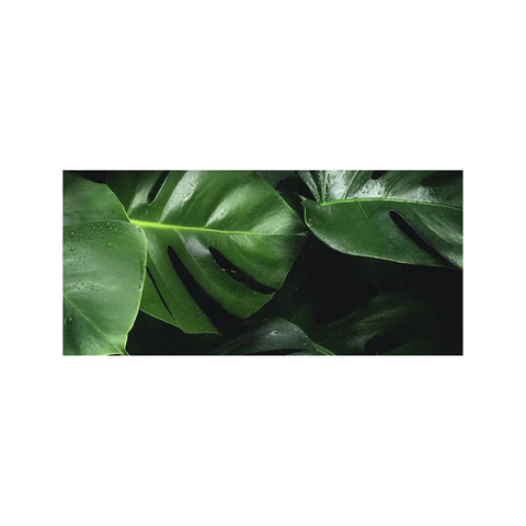 Essence - Tropical Fragrance 5lt